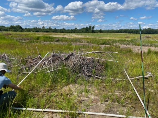 Plot 1216