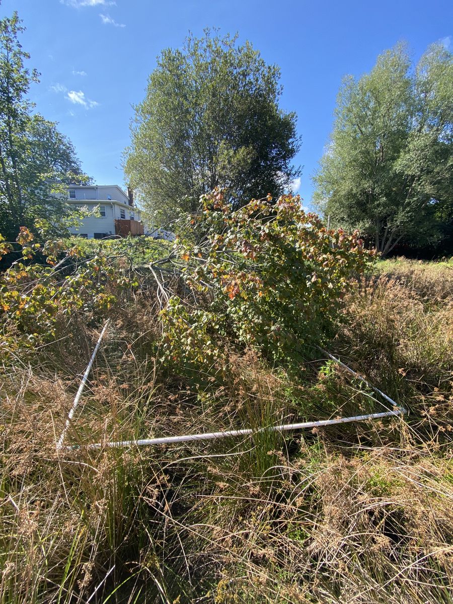 Plot 528