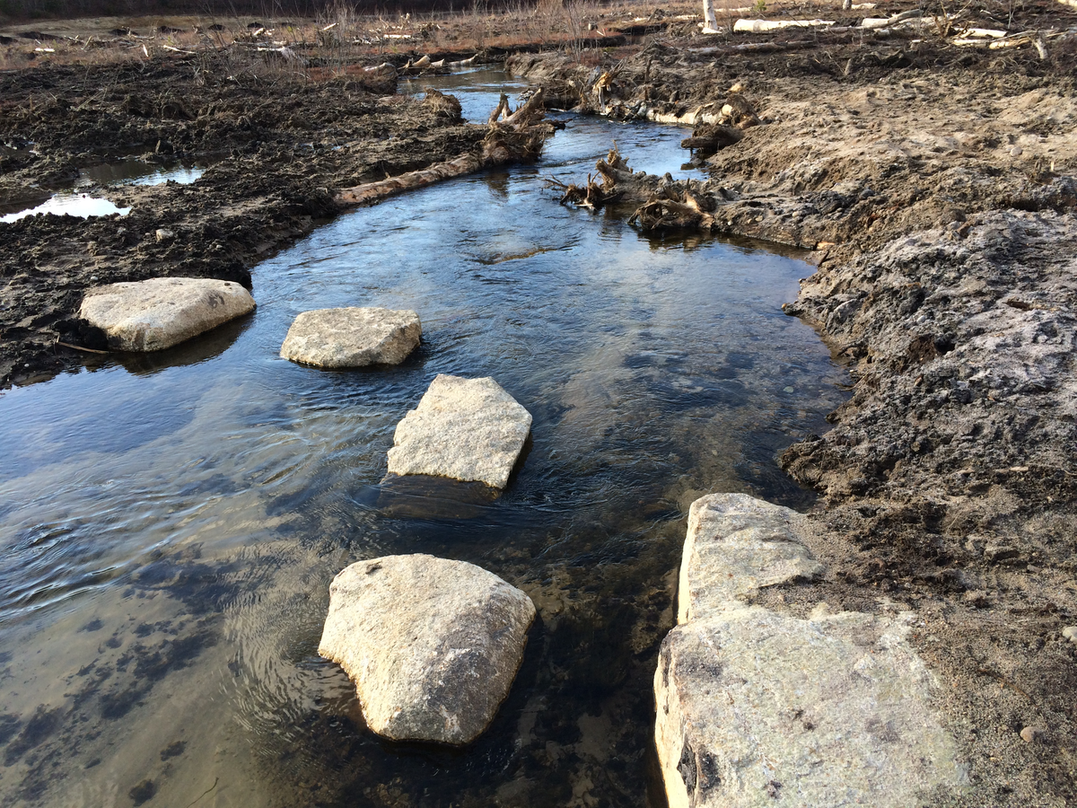 SumCo added stepping stones to the stream bed.  
