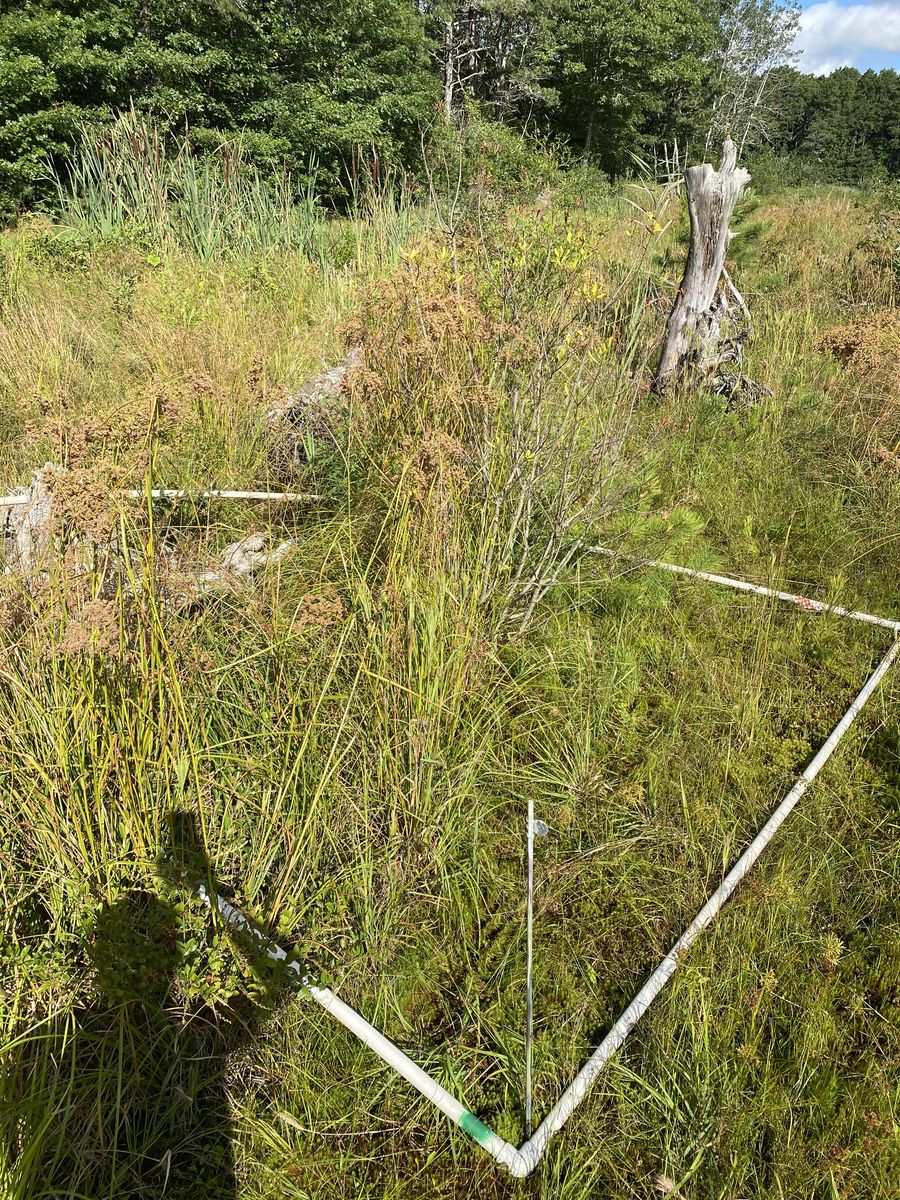 Plot 427
