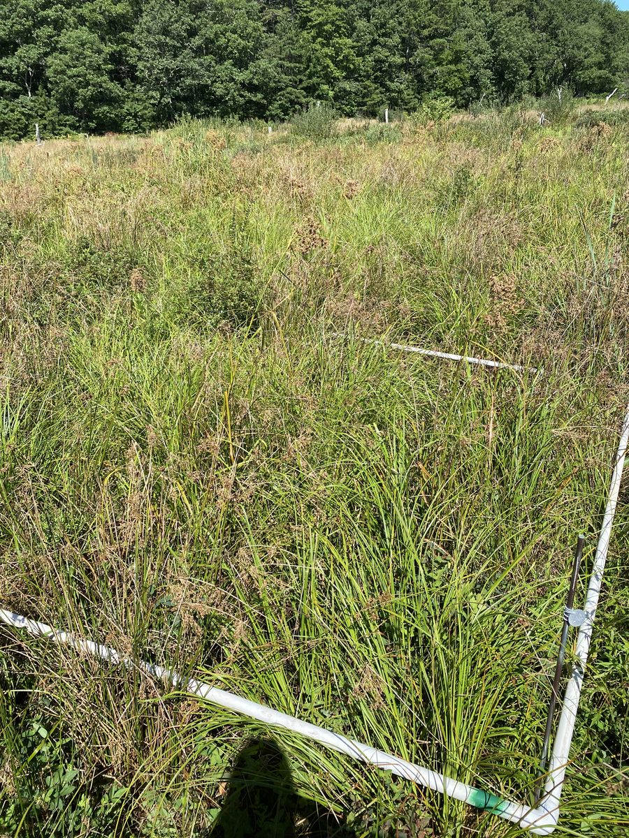 Plot 416