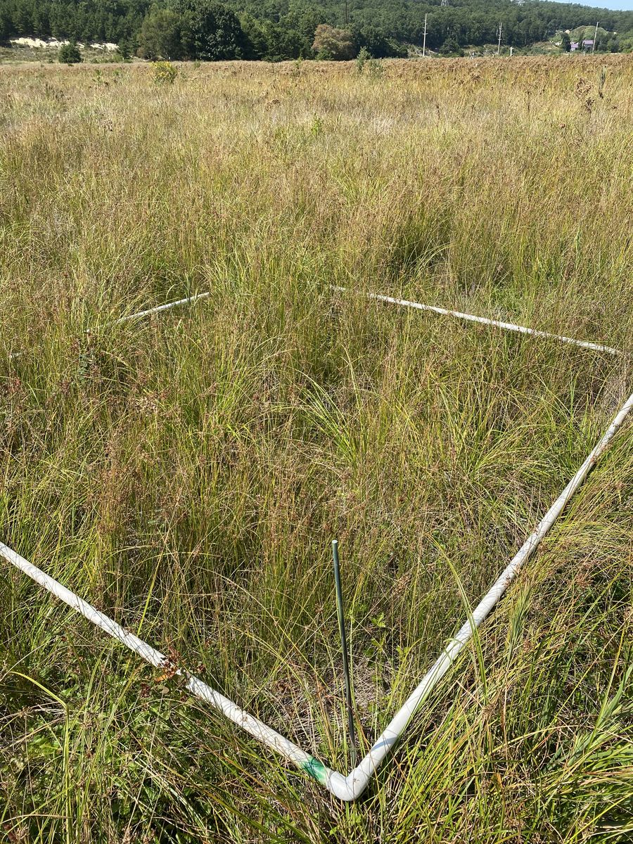 Plot 543