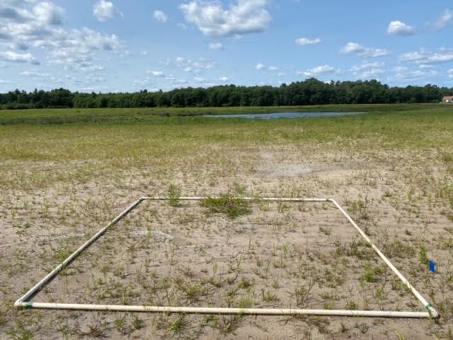 Plot 1228