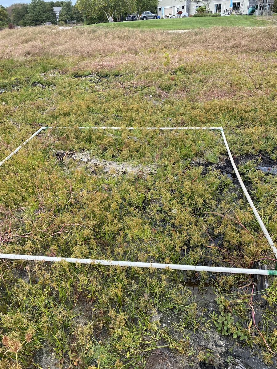 Plot 939