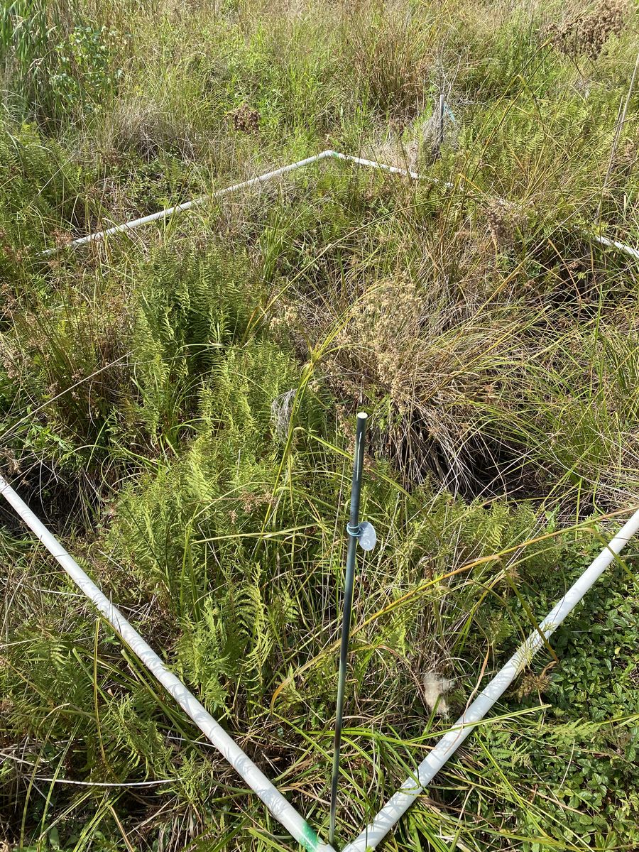 Plot 511