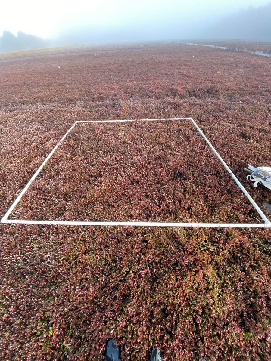 Plot 1705