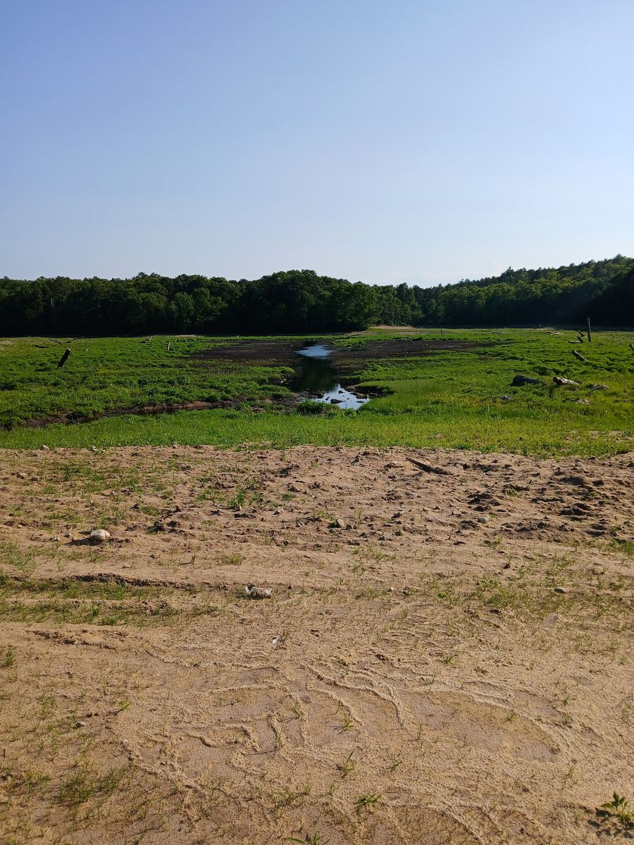 Pinnacle Bogs