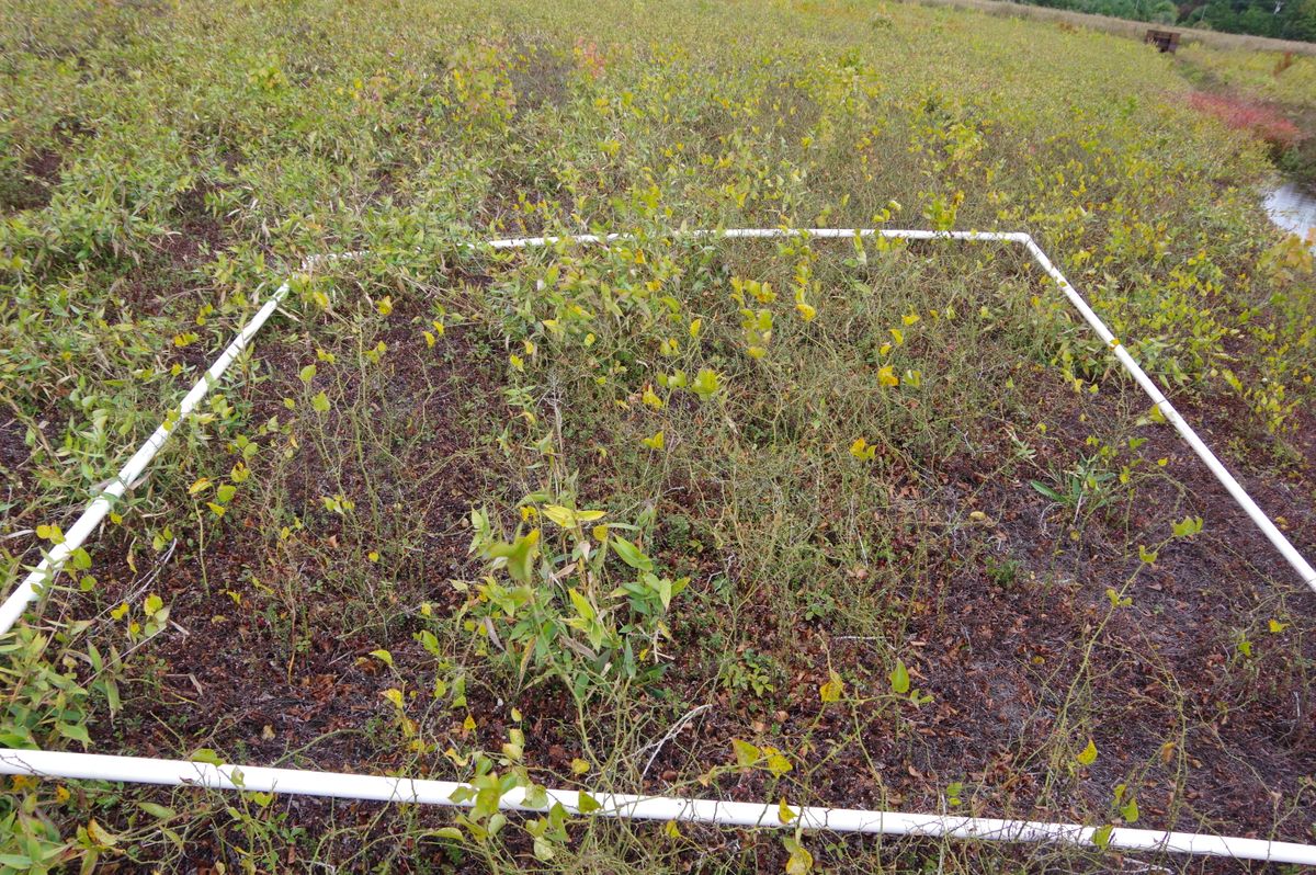 Plot 1404