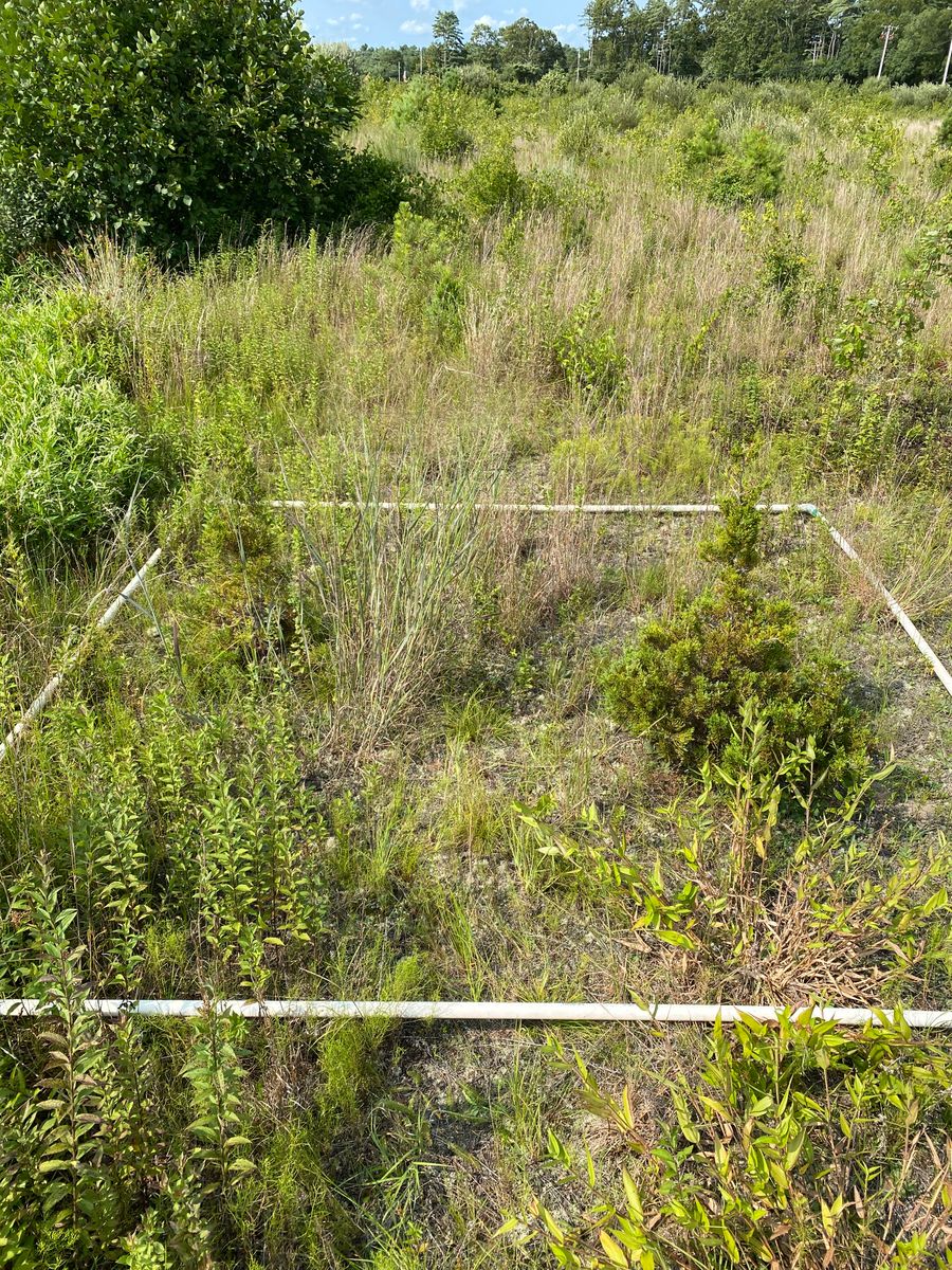 Plot 1235