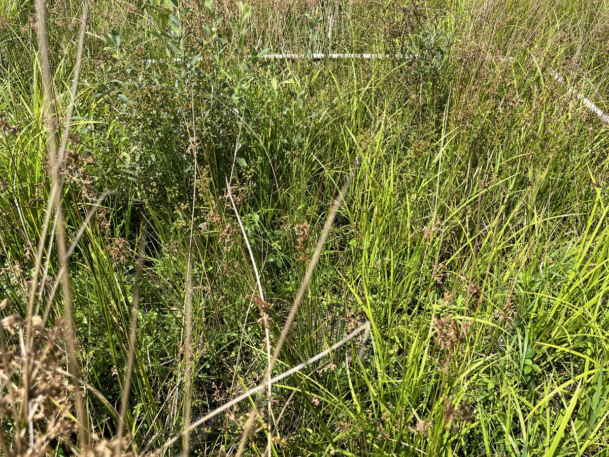 Plot 422