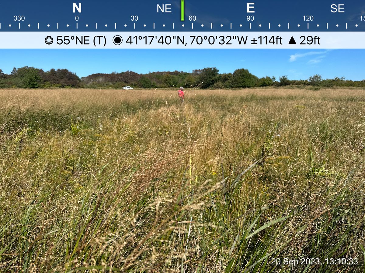 tilt_angle_deg=-20.3 / roll_angle_deg=-16.9