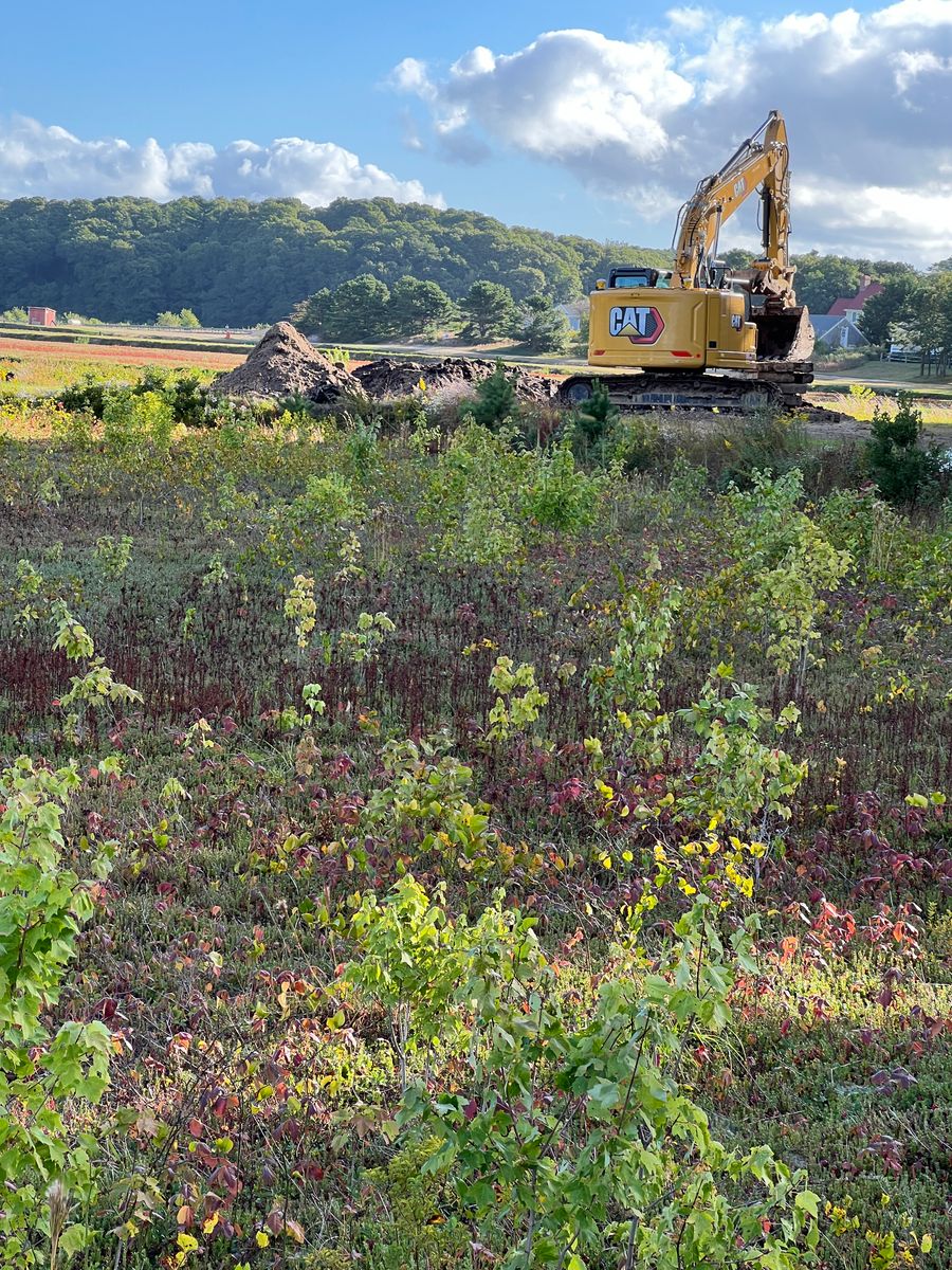 Excavating Pond at CSA