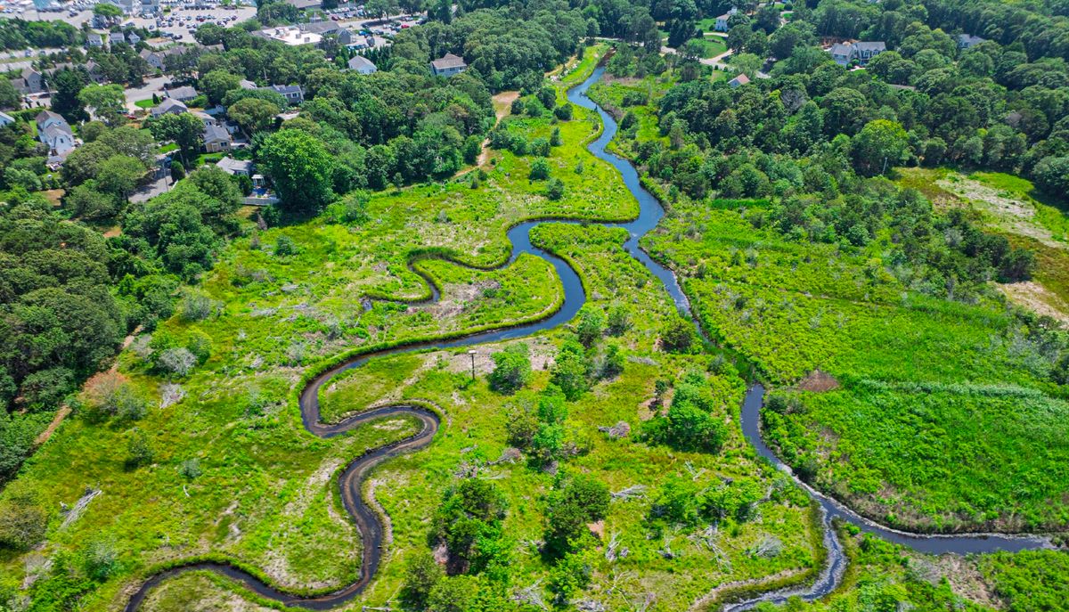July 2024: Post-construction Photograph of Cell 8, looking south and showing the completed Cell 8.  Note that the old Cold Brook channel to the right has been closed off at the extreme right hand side of the photograph.  Another tidal creek has been constructed at the extreme bottom of the photo.