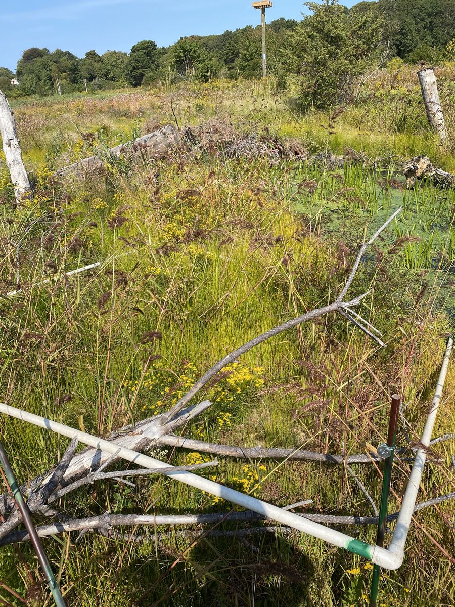 Plot 920