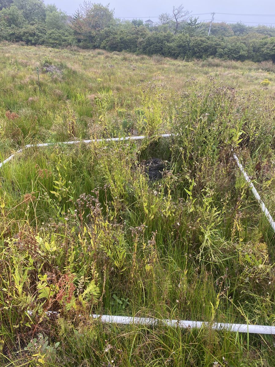 Plot 1135