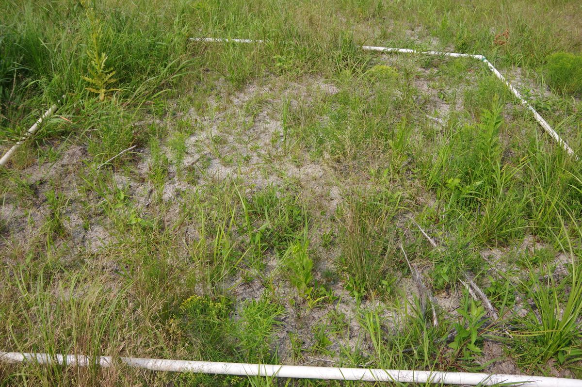 Plot 1239