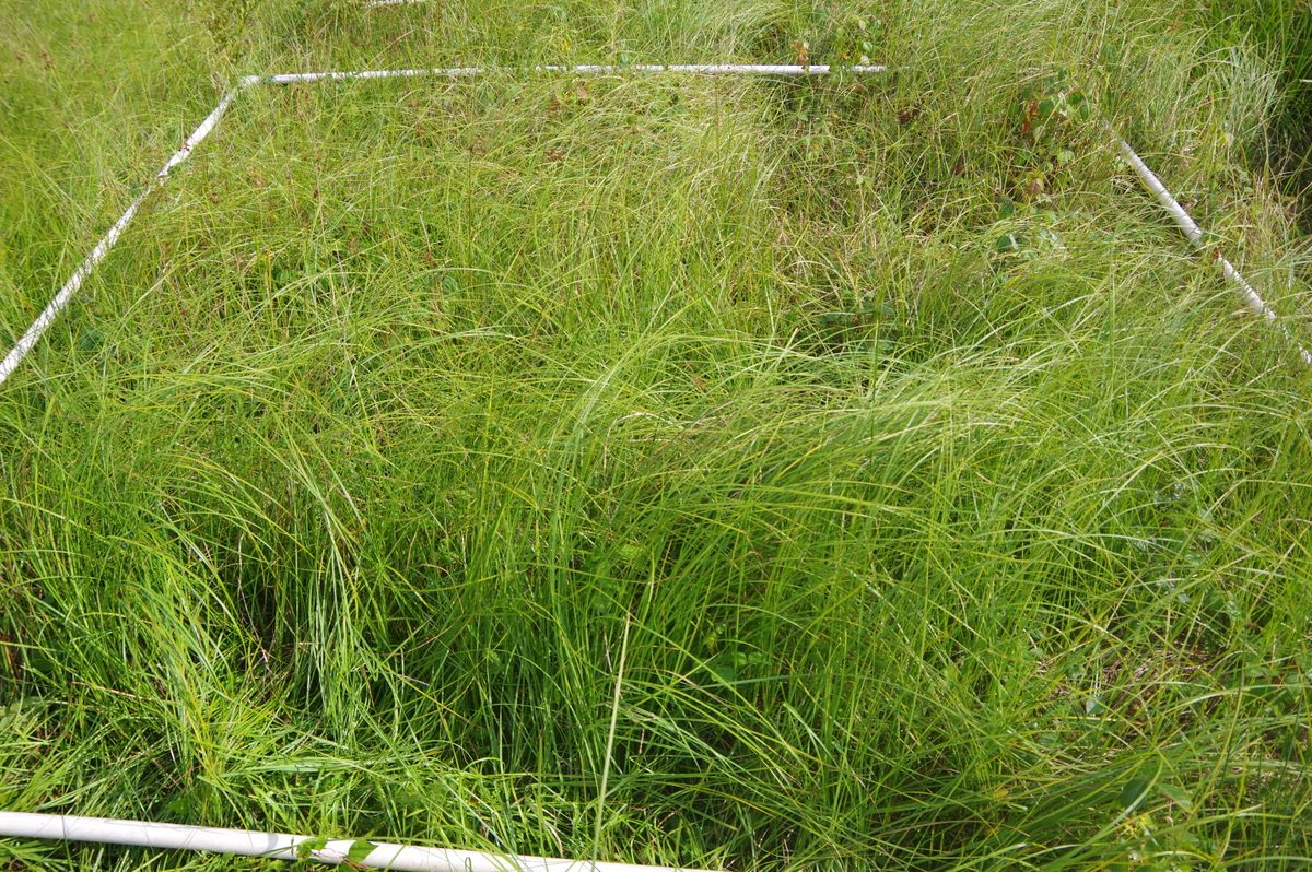Plot 402