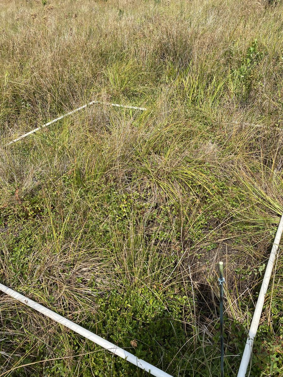 Plot 510