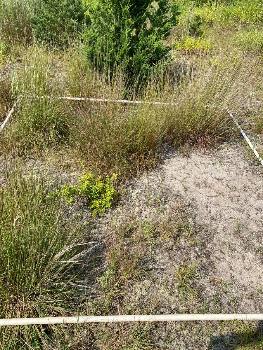 Plot 1226