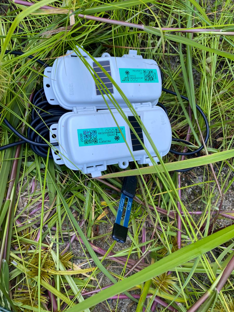 EC-5 probes for UCB-21