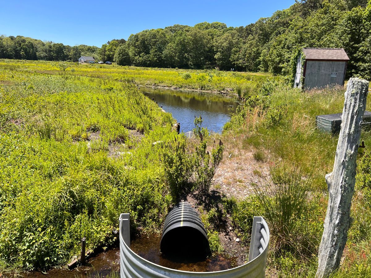 Old pump house and piping