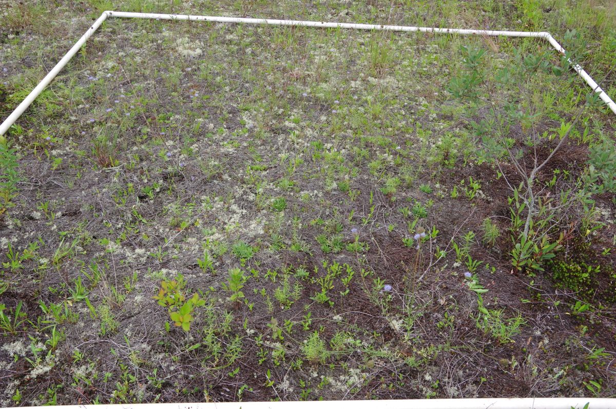 Plot 1215
