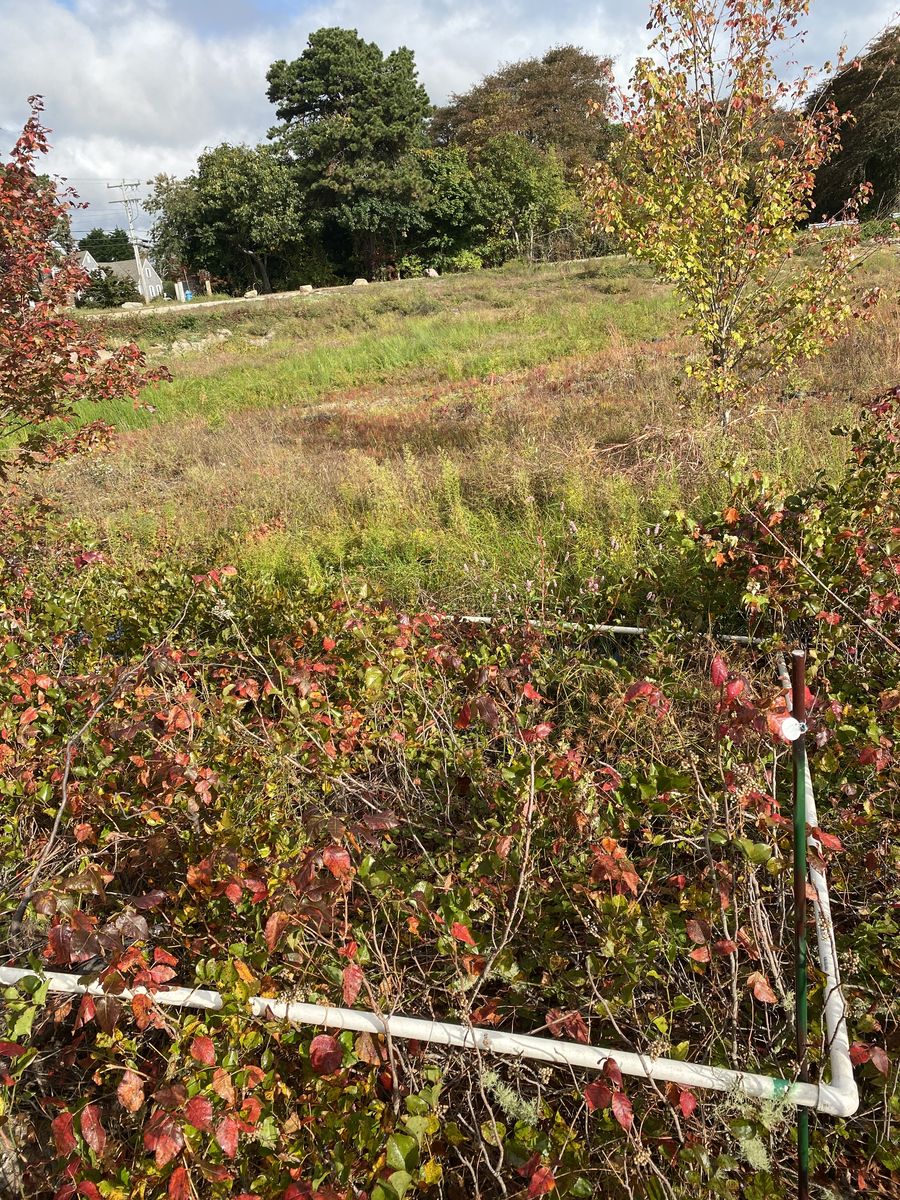 Plot 938