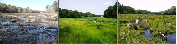 Eel River Time0, year1, year3 post