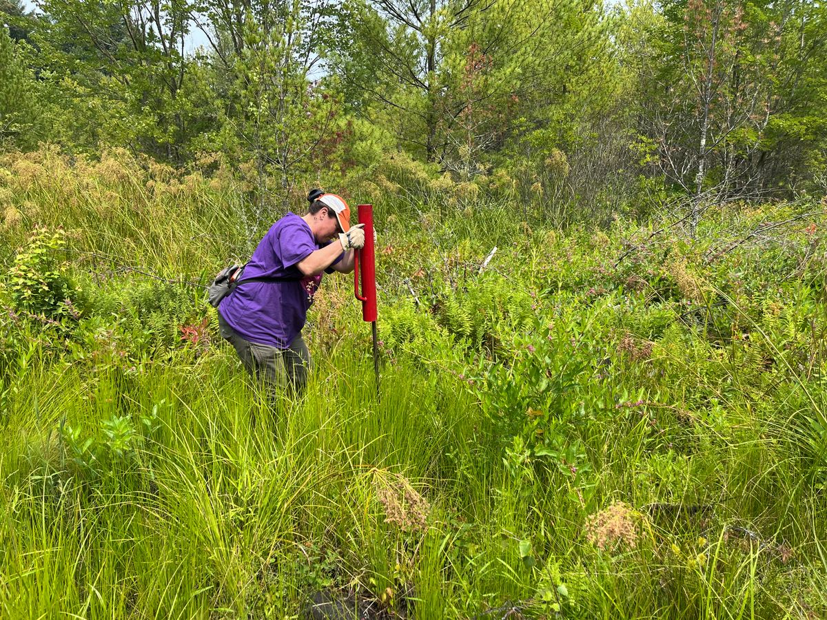 Christine Hatch installing a piezometer to monitor groundwater at Samson Brook Headwaters Restoration