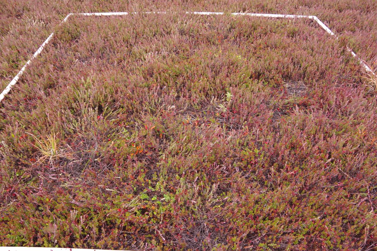 Plot 1605