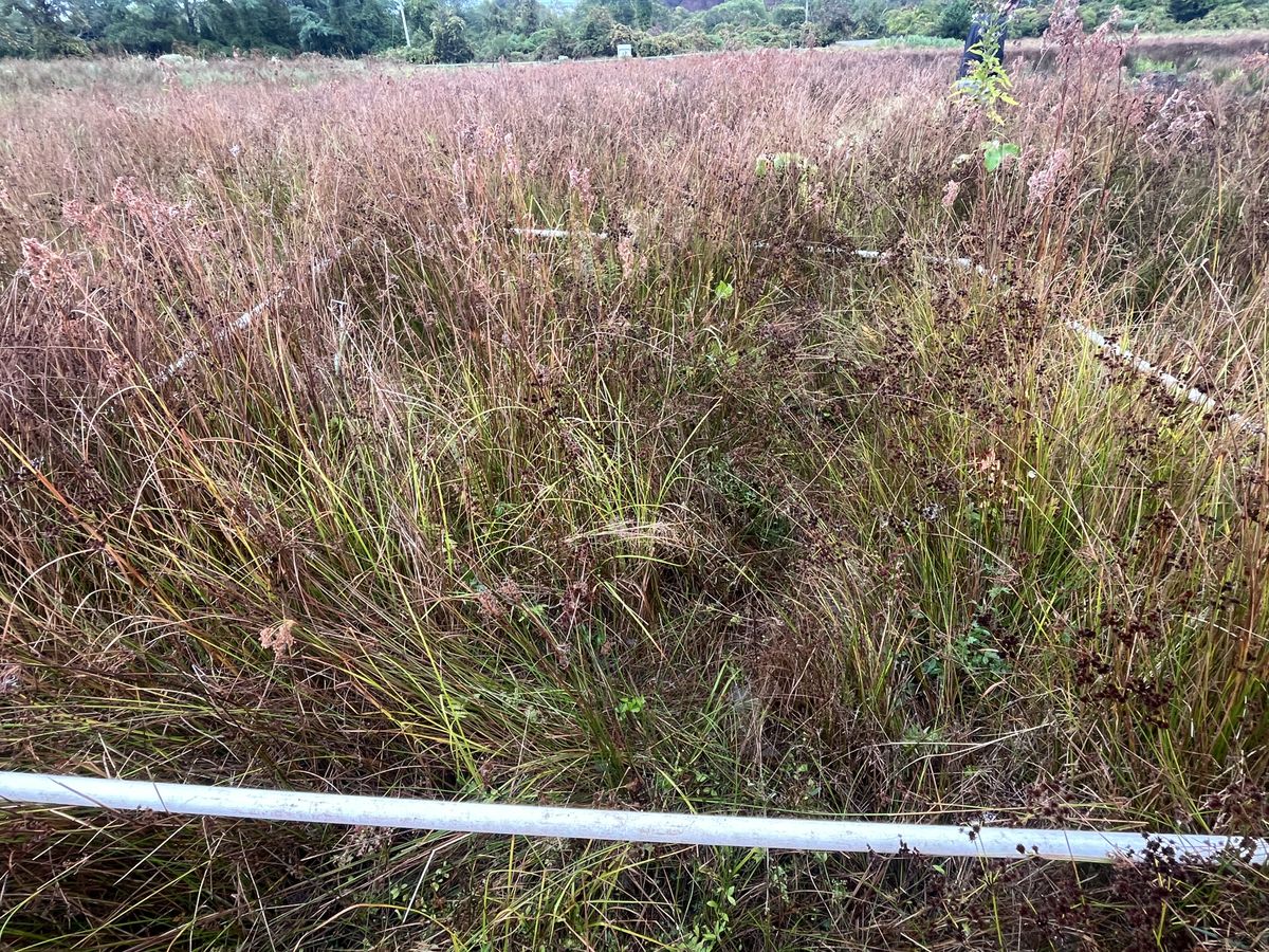 Plot 1126 photoJPG