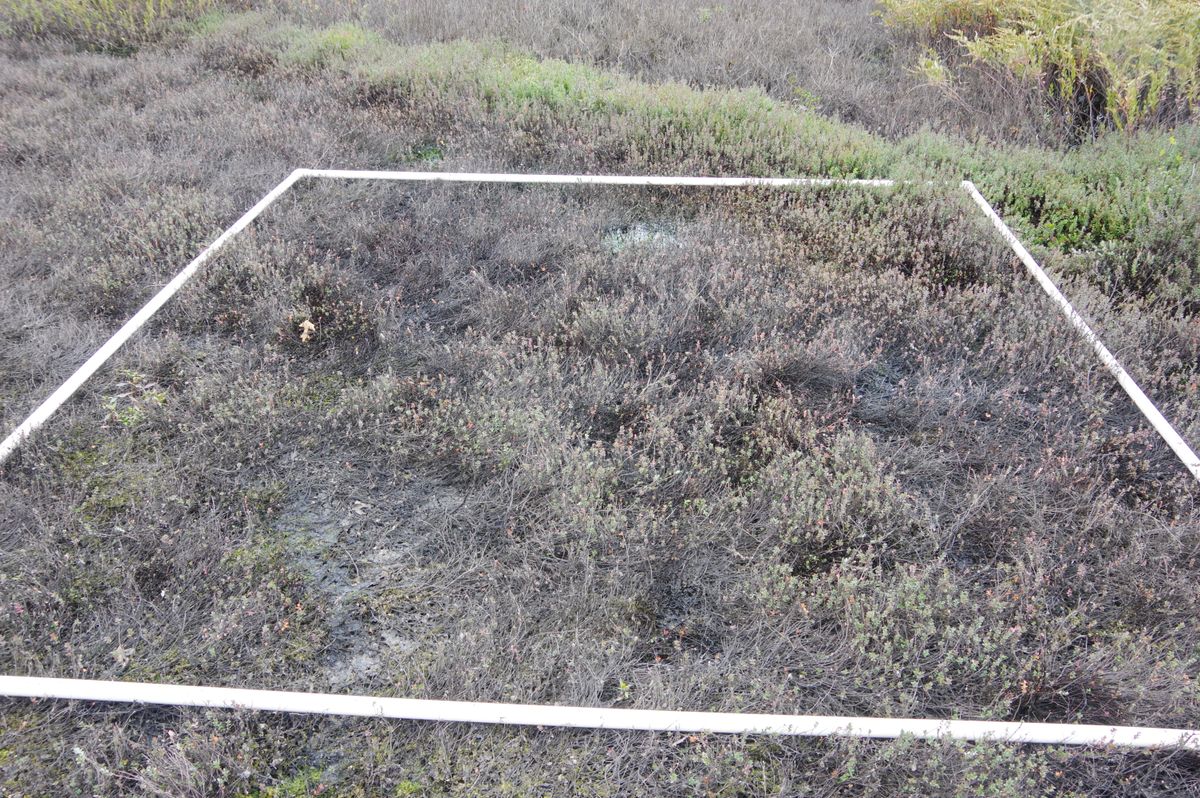 Plot 1506