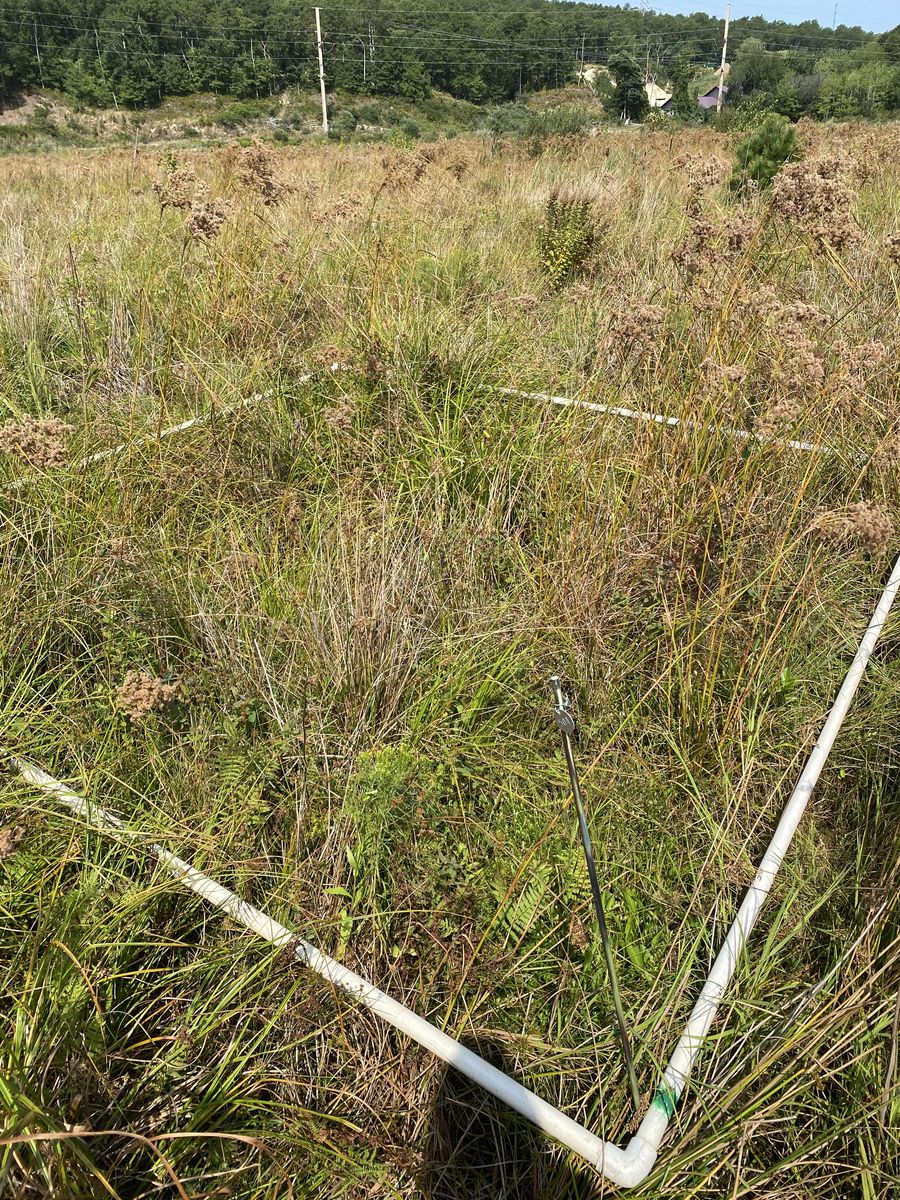 Plot 504