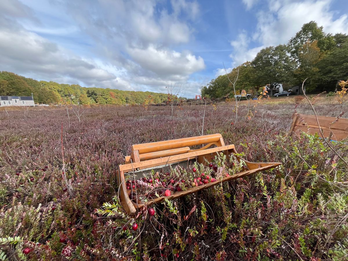 The last harvest