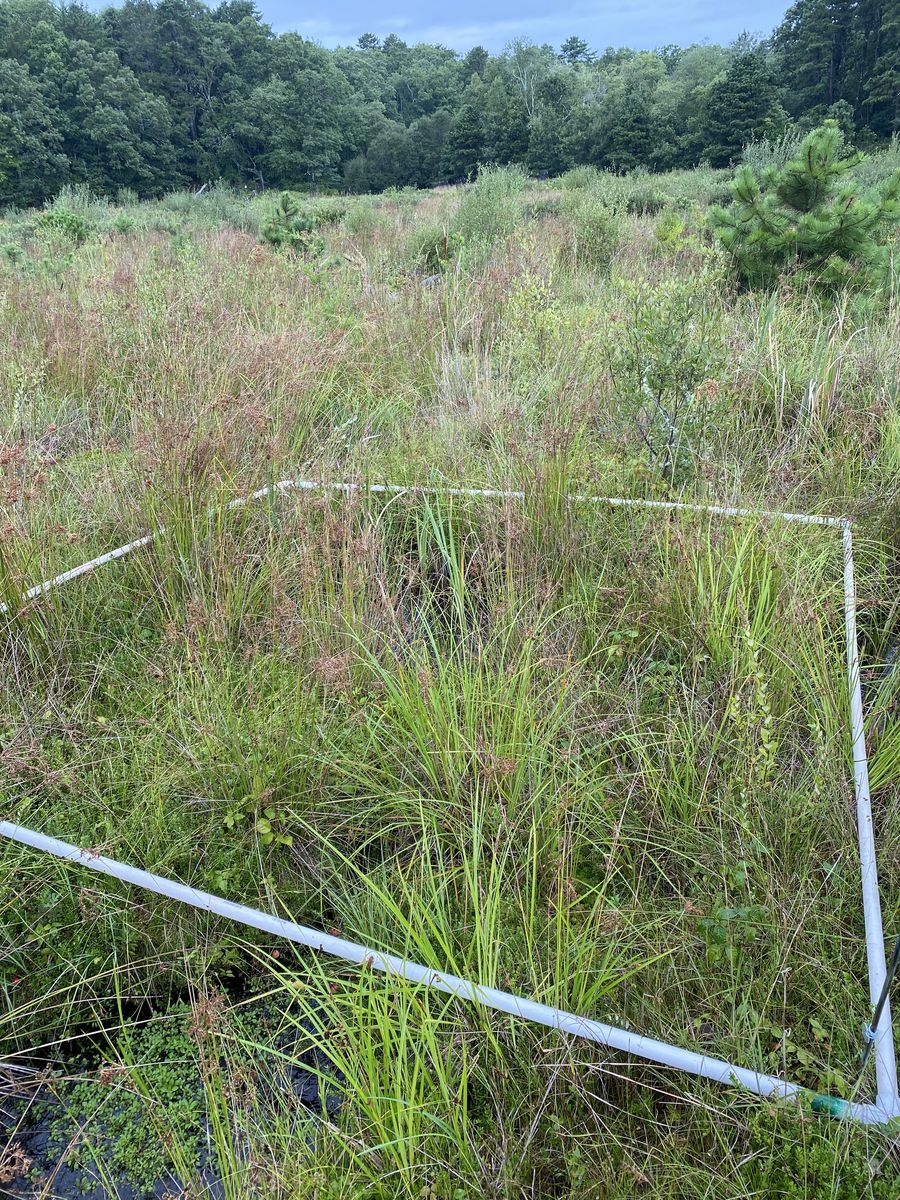 Plot 408