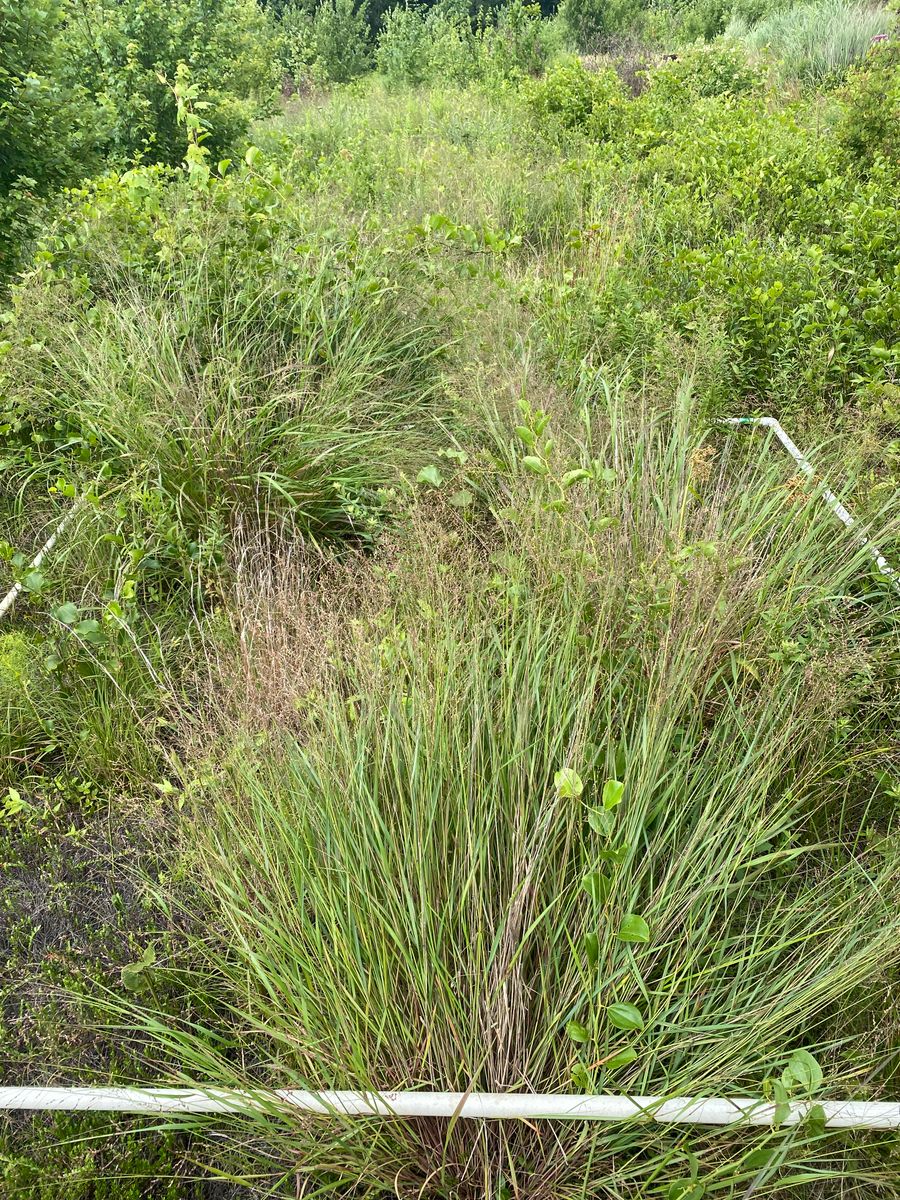 Plot 1222