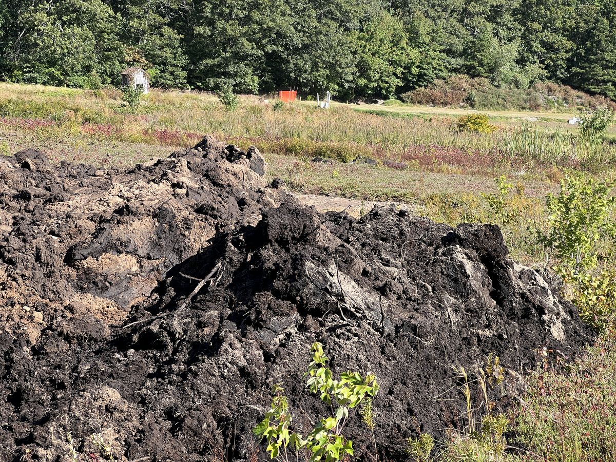 Close up  of excavated peat and sand