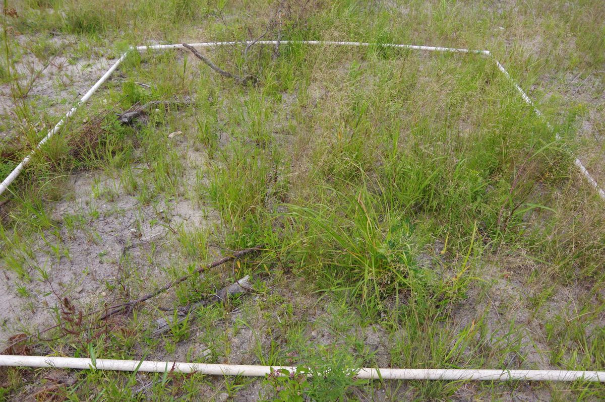 Plot 1240