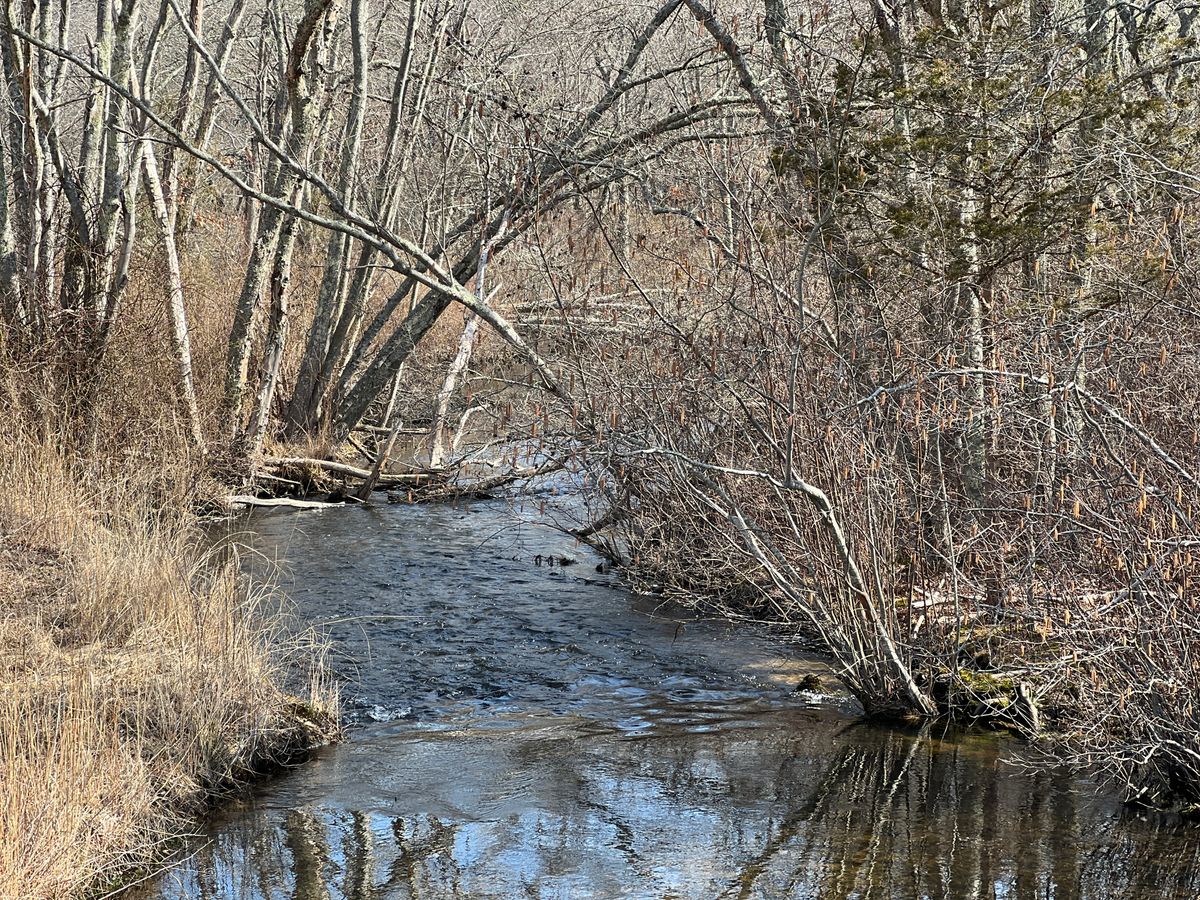 Downstream riffle