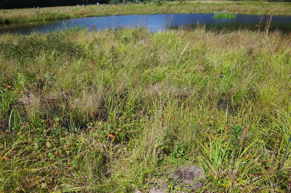 Reservoir Coonamessett 329 2021