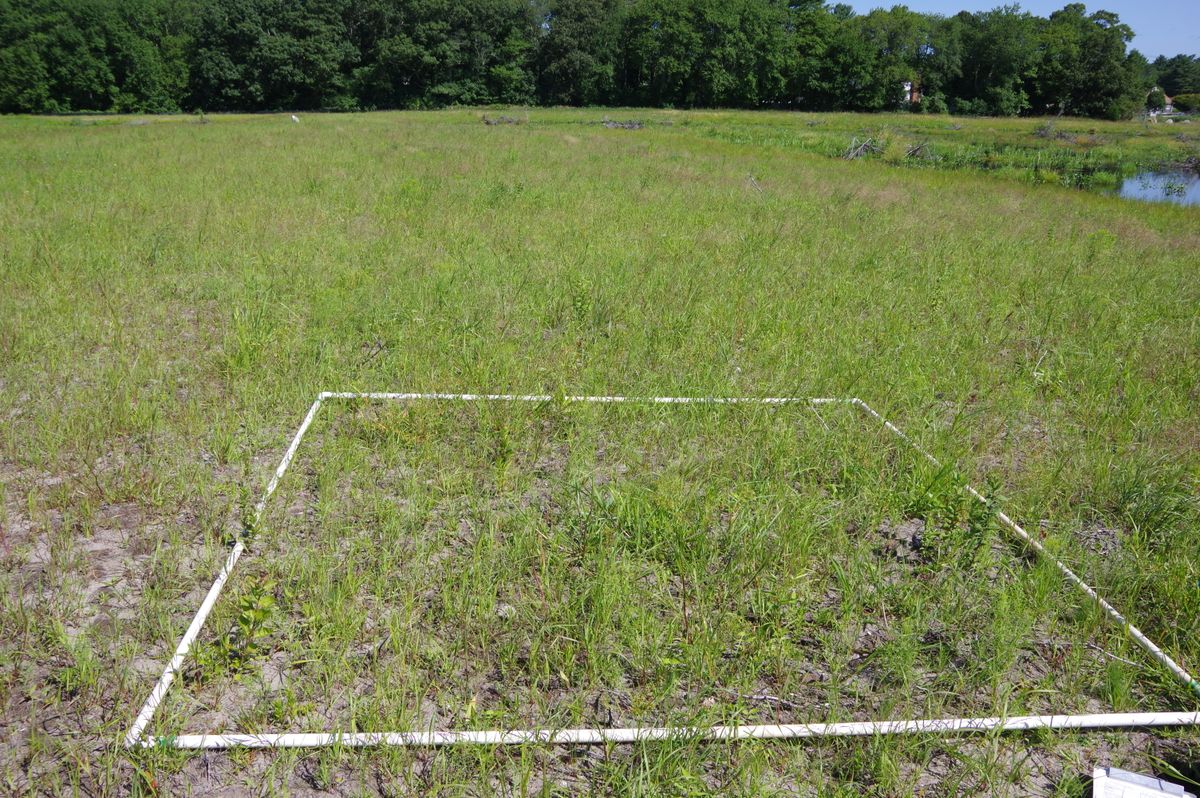 Plot 1223