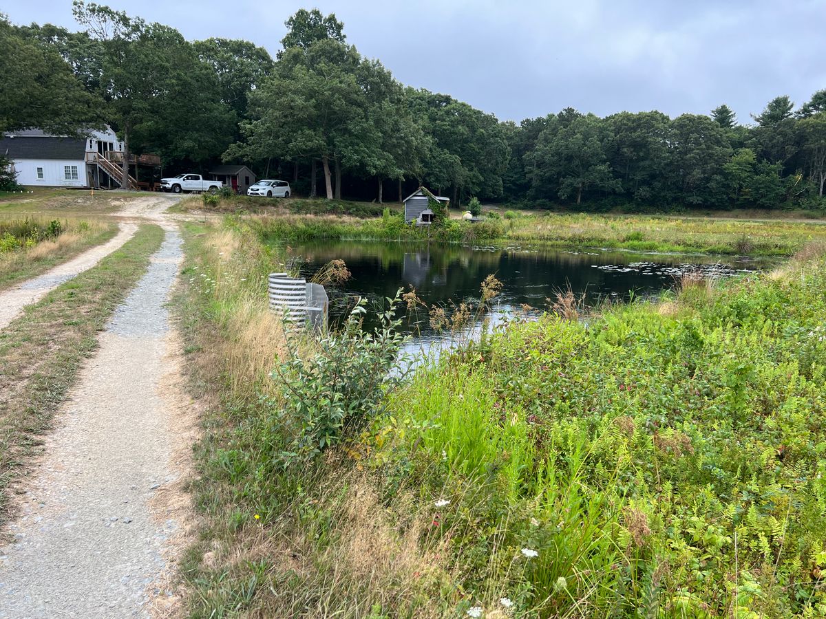 Old farm reservoir