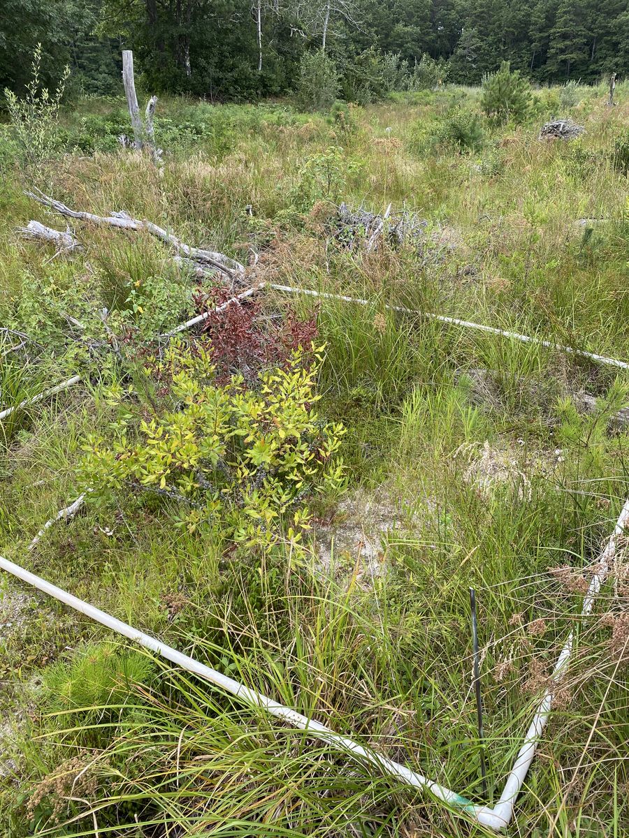 Plot 430