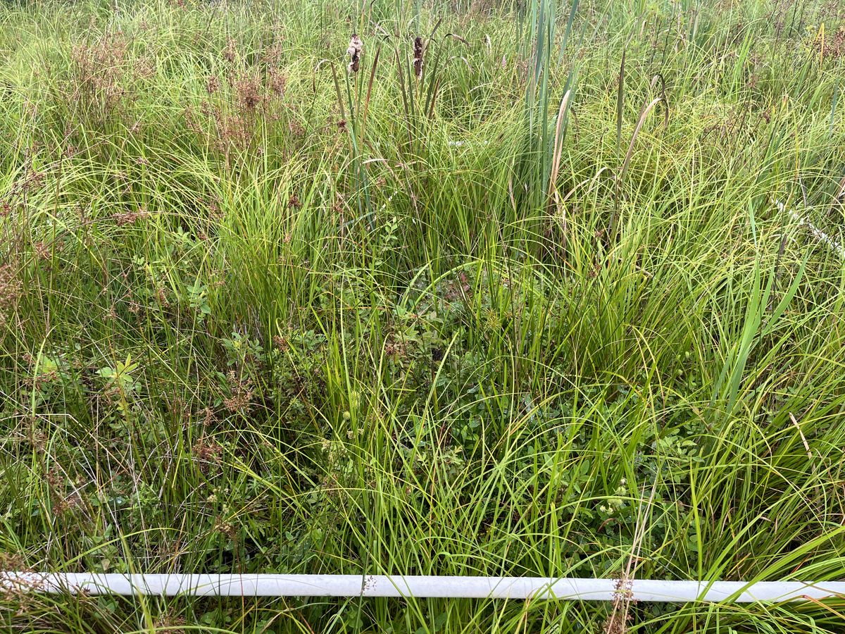 Plot 412