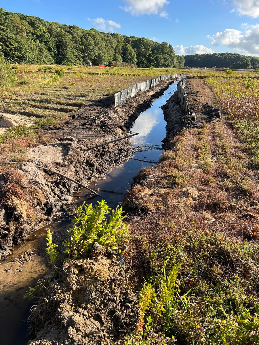 Marstons Mills river diverted into a temporary channel to keep site as dry as possible.