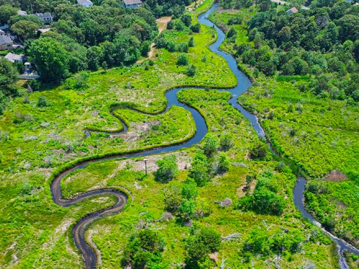Cold Brook Eco Restoration 