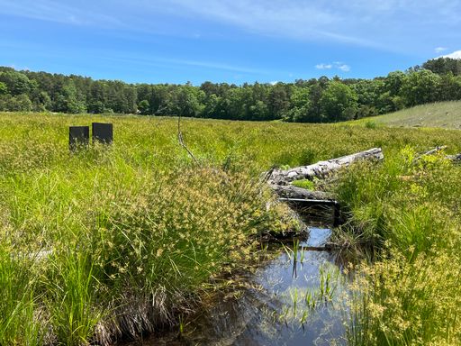 Childs River Restoration Project