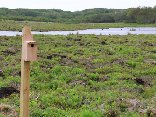 poster image for this project