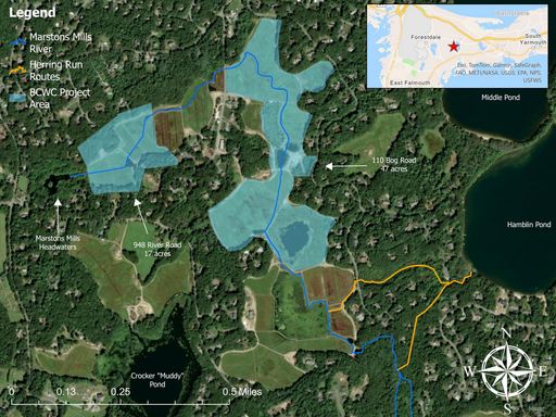 Marstons Mills Cranberry Bog Eco-Restoration Project