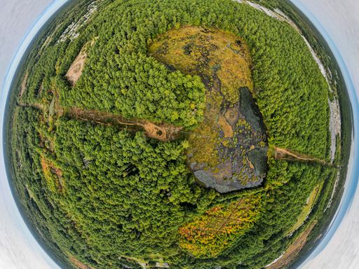 Sampson's Brook Headwaters Restoration Project